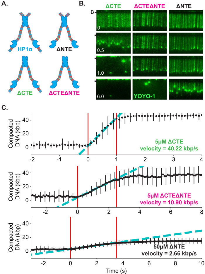 Figure 6—figure supplement 2.