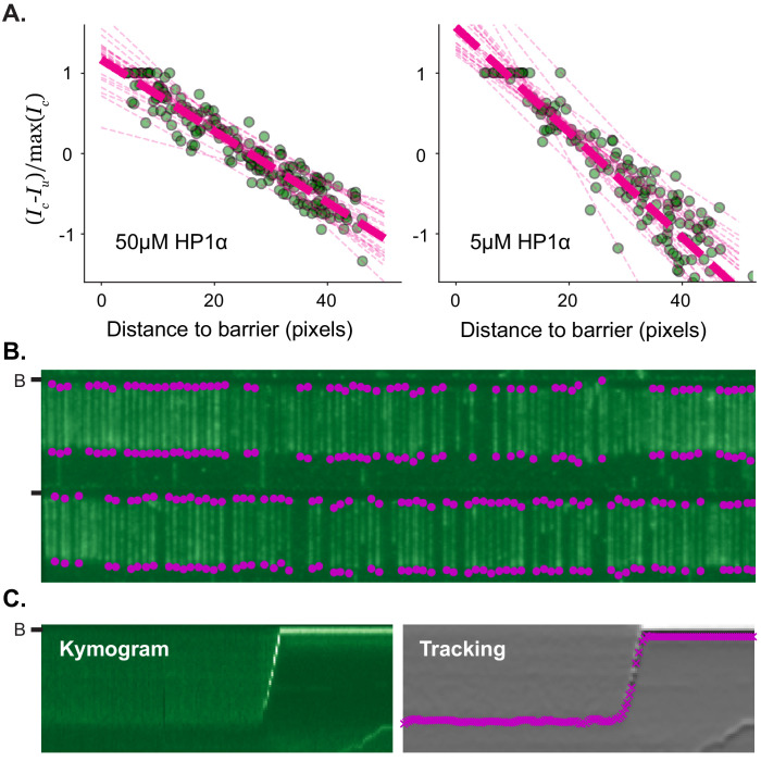 Figure 1—figure supplement 2.