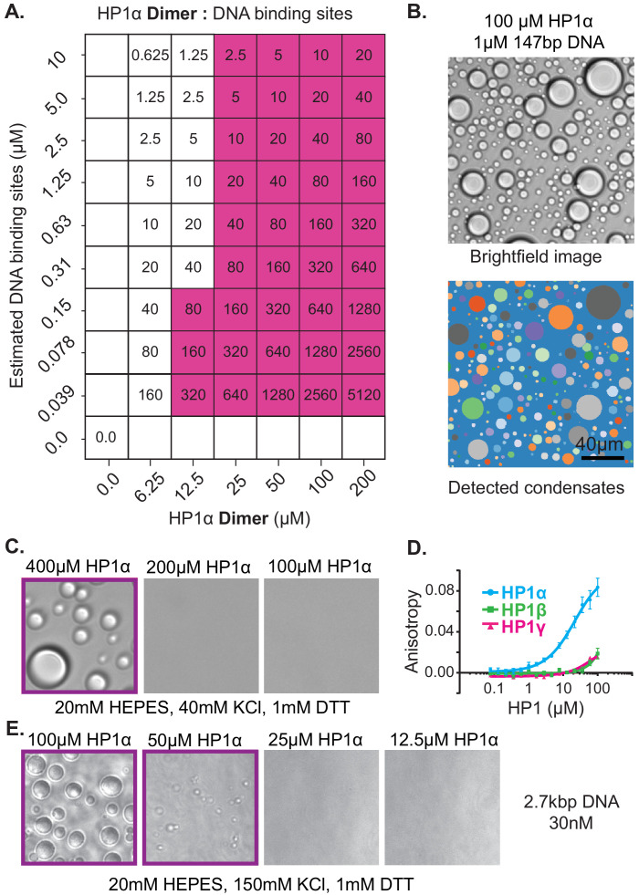 Figure 2—figure supplement 2.