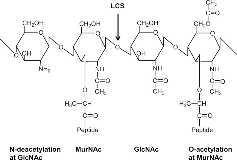 FIG 1 