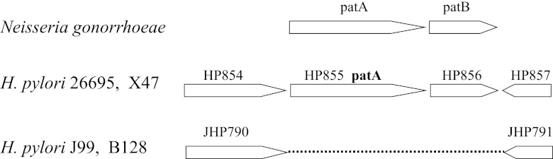 FIG 2 