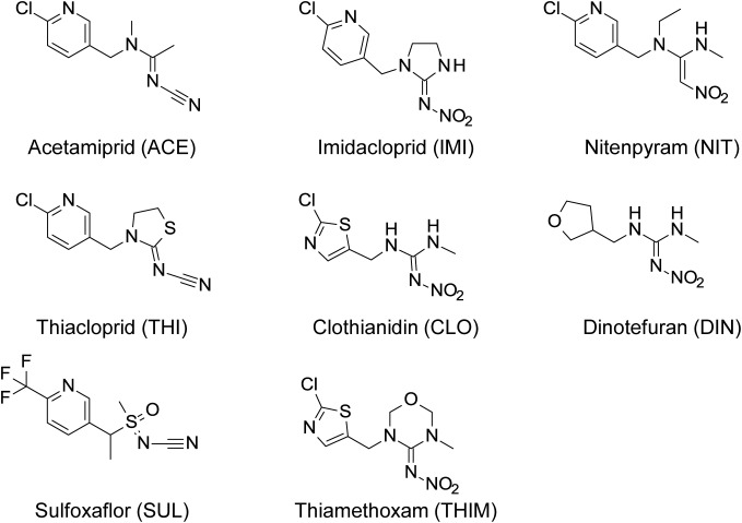 Fig. 1. Structure of acetamiprid, other neonicotinoids, and sulfoxaflor.