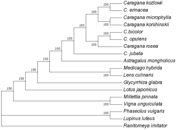 Fig 5