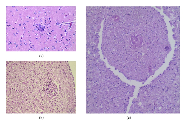 Figure 10