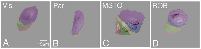 Figure 5