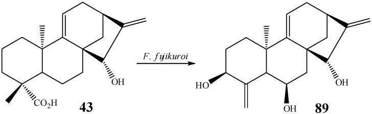 Scheme 13