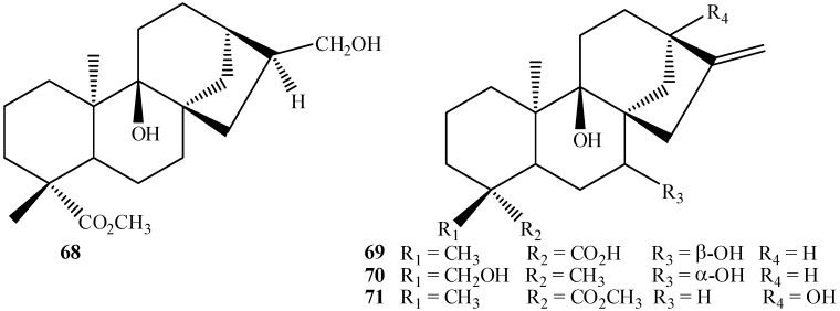 Figure 16