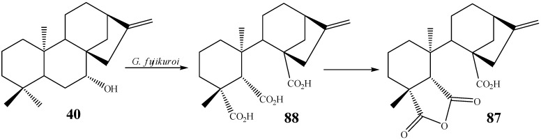 Scheme 12