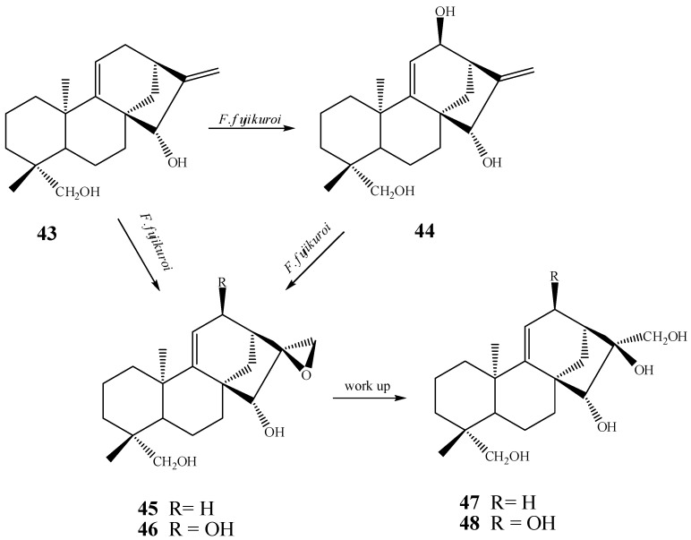 Scheme 4