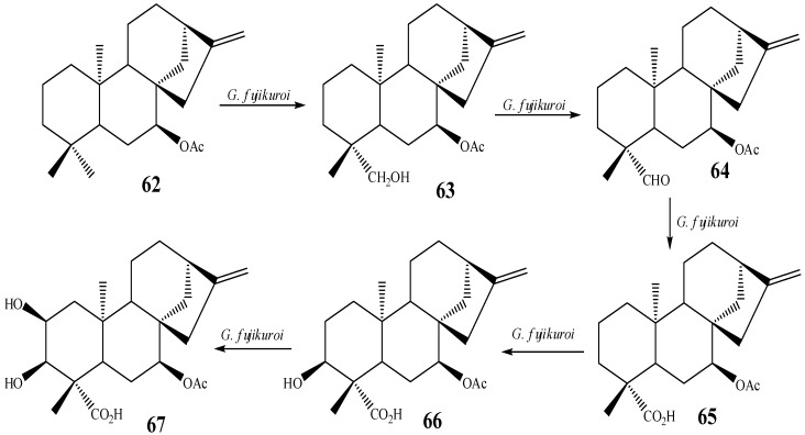 Scheme 7