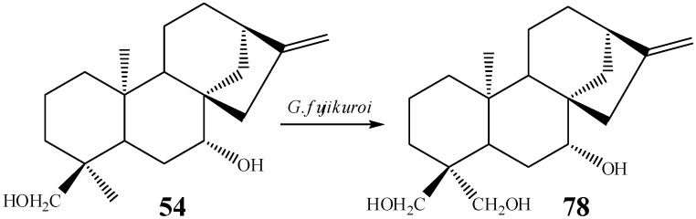 Scheme 9