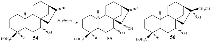 Scheme 6