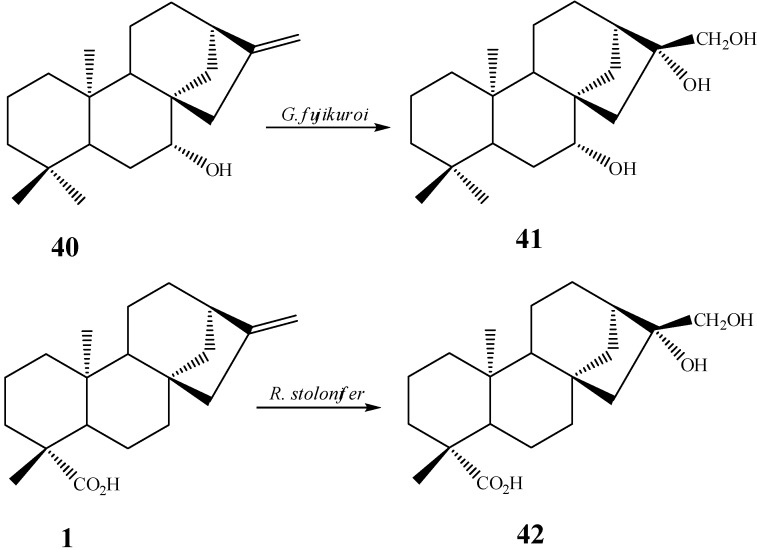 Scheme 3