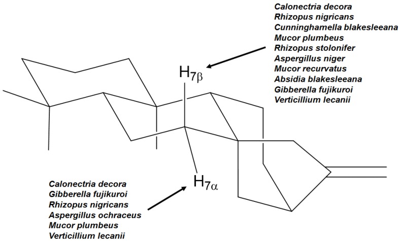 Figure 8