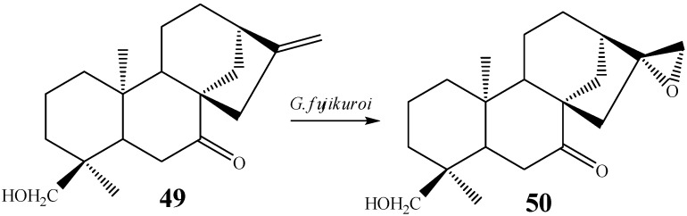 Scheme 5