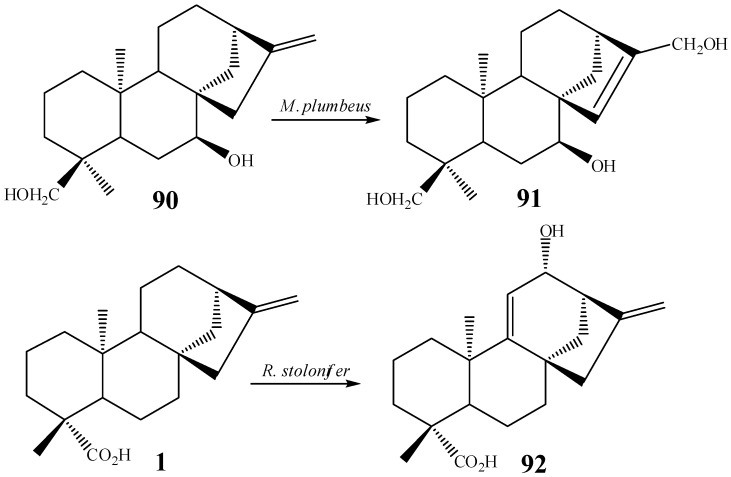 Scheme 14