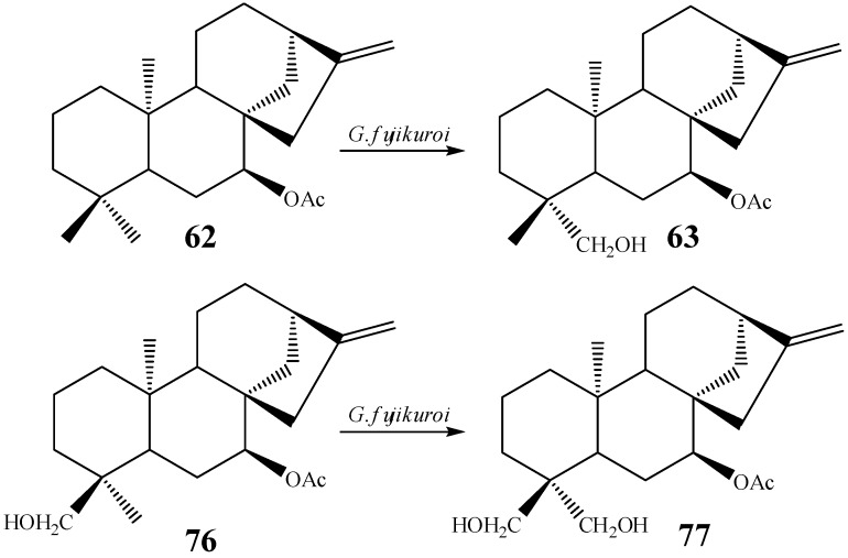 Scheme 8