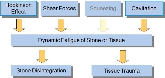 Graph 1