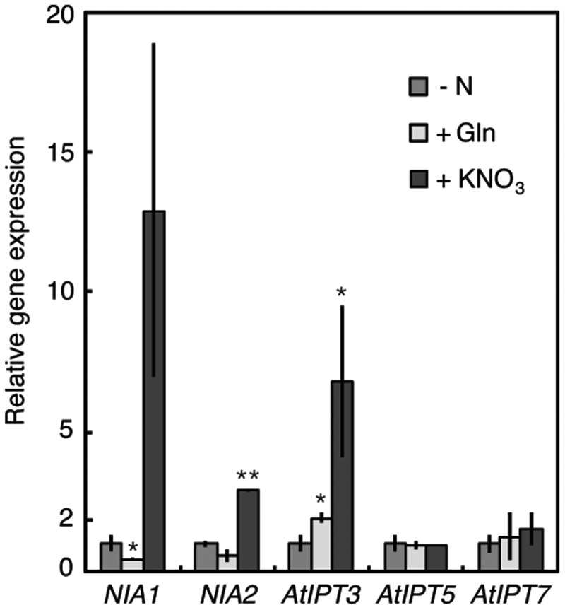 Fig. 9