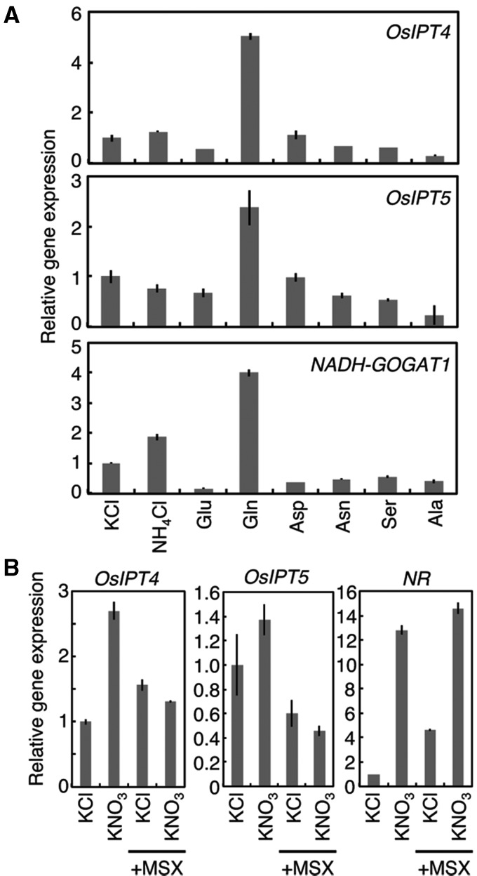 Fig. 6