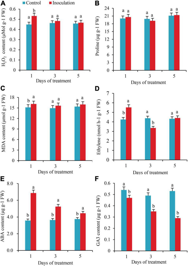 FIGURE 3