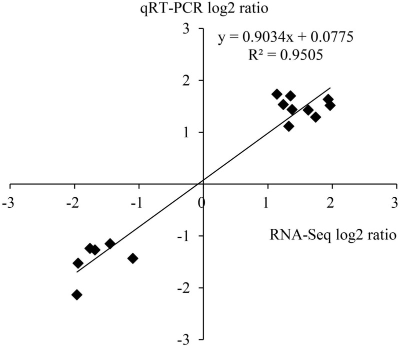 FIGURE 9