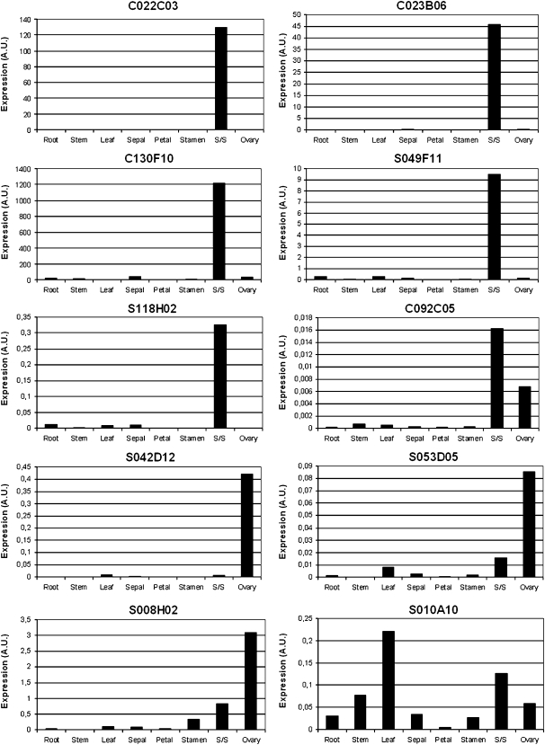 Figure 2.