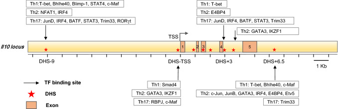 Fig. 2