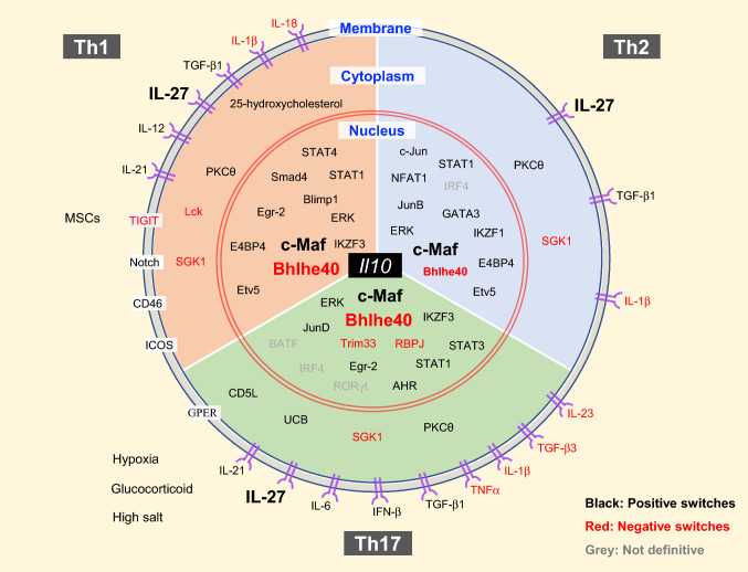 Fig. 3