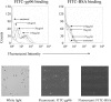 Fig 9.