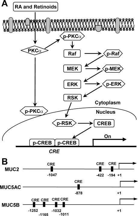 FIG. 12.