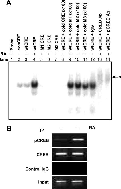 FIG. 10.