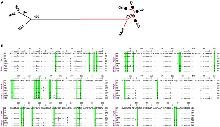 Figure 7