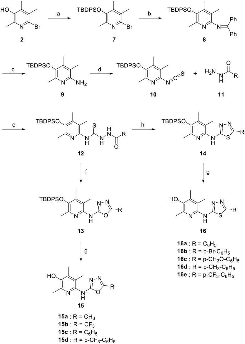 Scheme 2