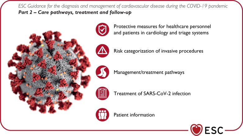 Graphical Abstract