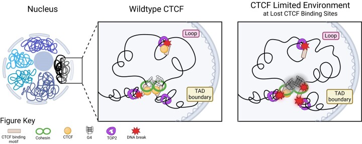 Graphical Abstract