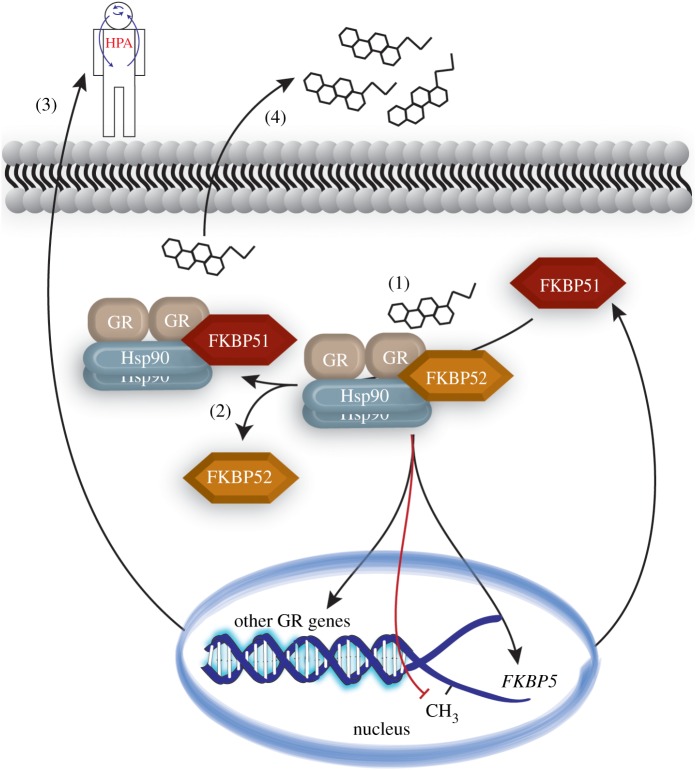 Figure 1.