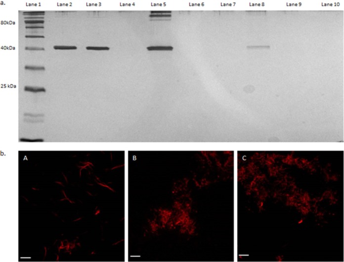 FIG 6