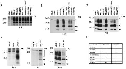 FIG. 4.