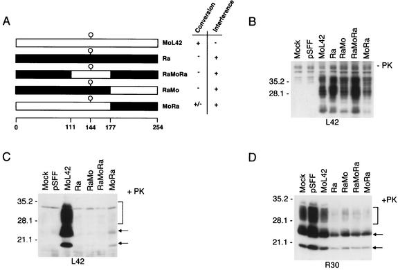 FIG. 2.