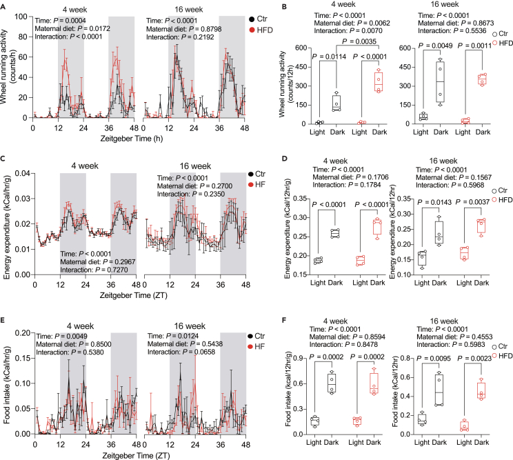 Figure 2