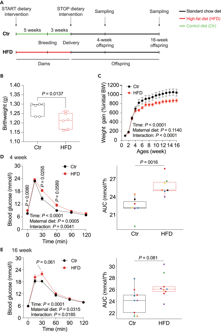 Figure 1