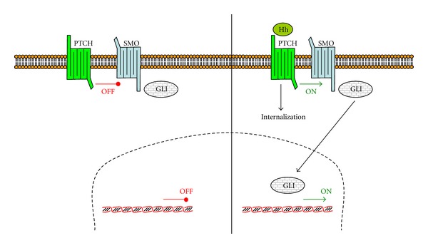 Figure 6