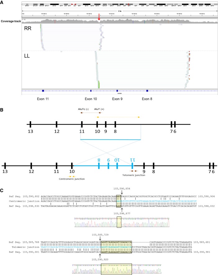 Figure 3.