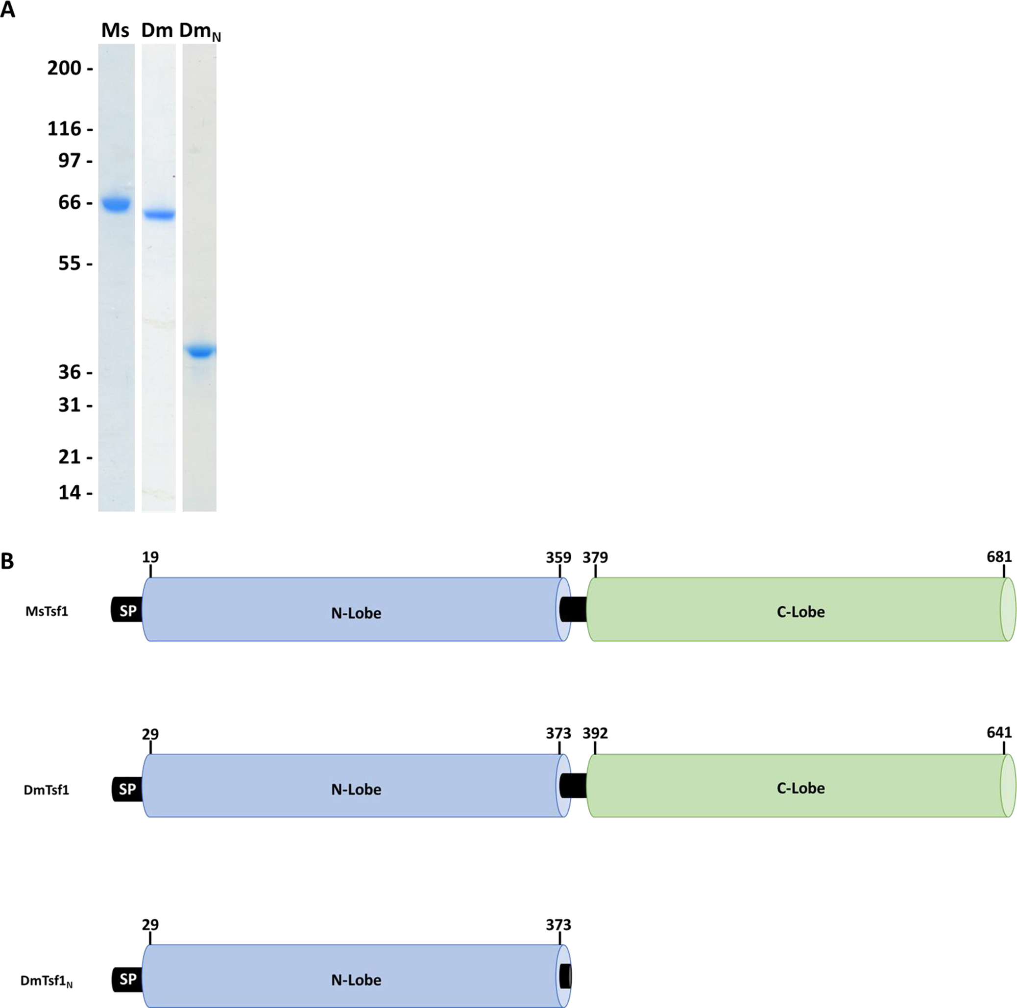 Figure 1.