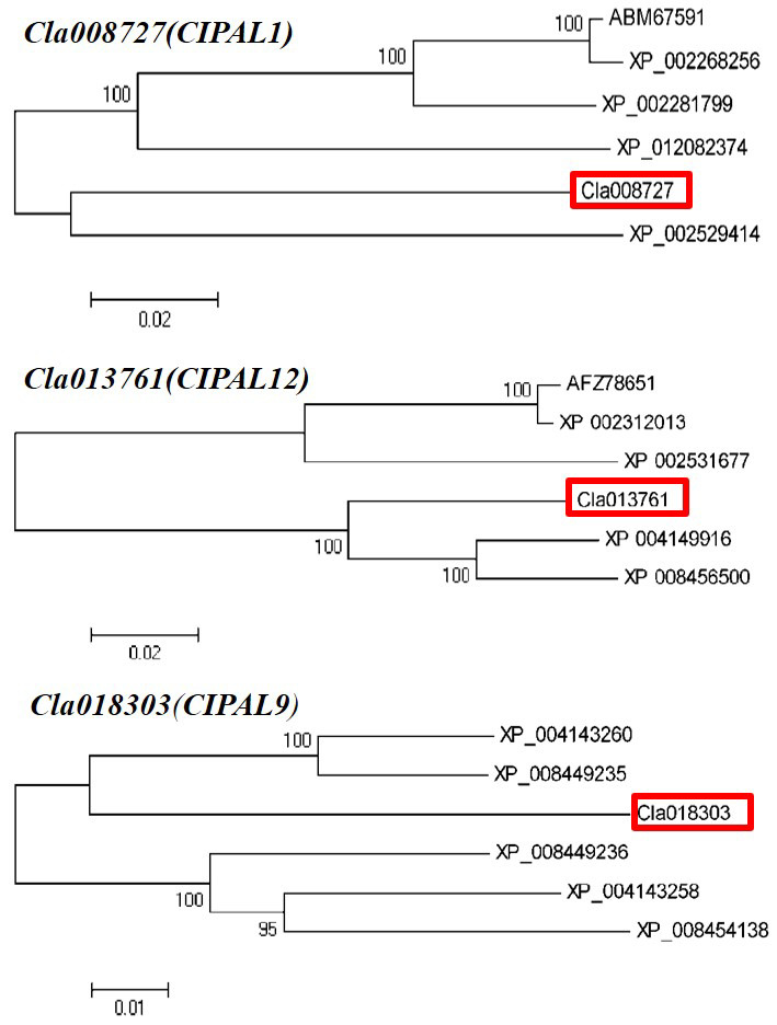 Figure 7