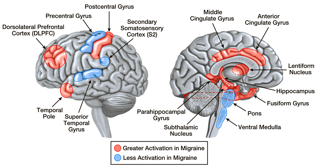 Figure 2: