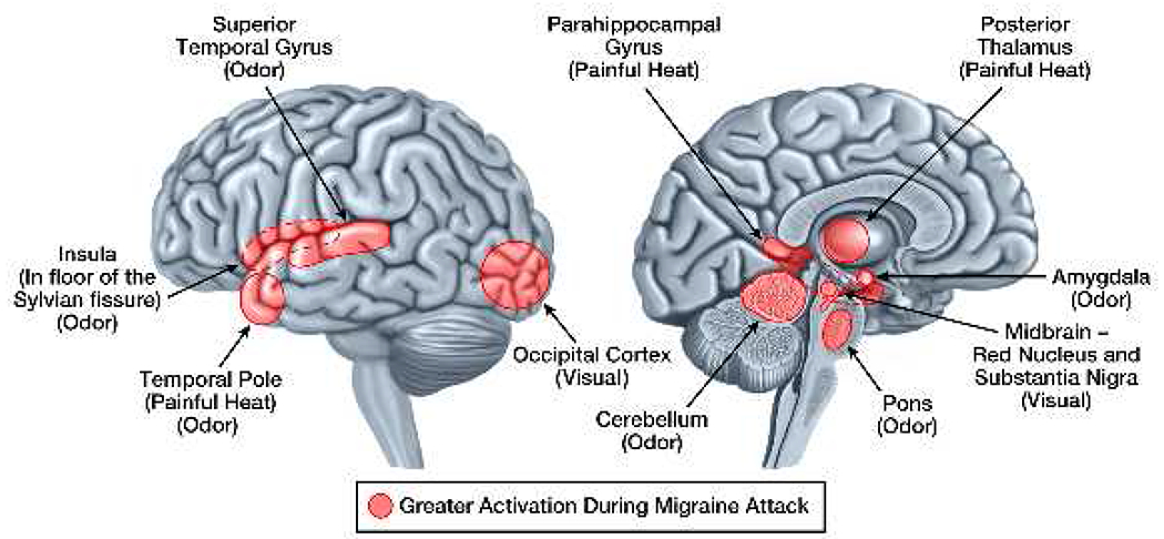 Figure 1: