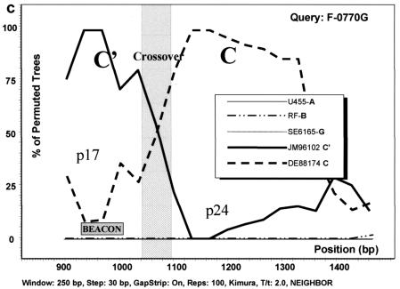 FIG. 3.