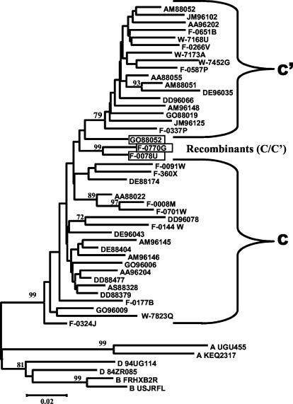 FIG. 2.